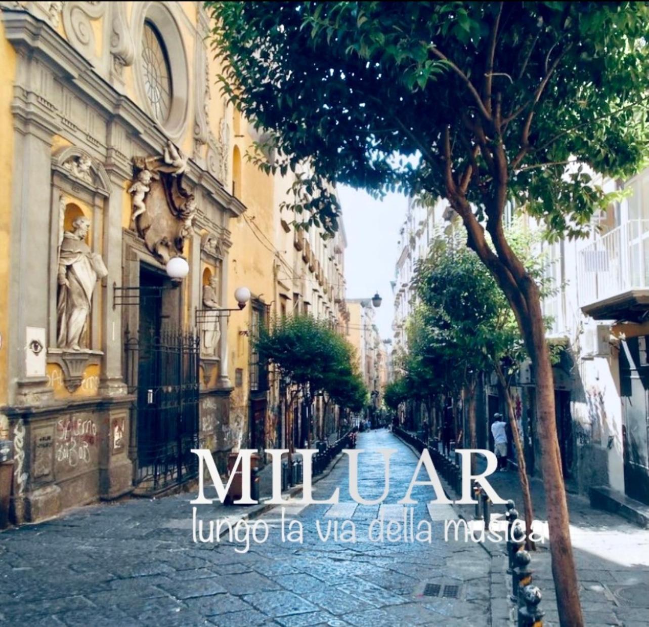 Bed and Breakfast Miluar - Centro Storico - Lungo La Via Della Musica Neapol Exteriér fotografie